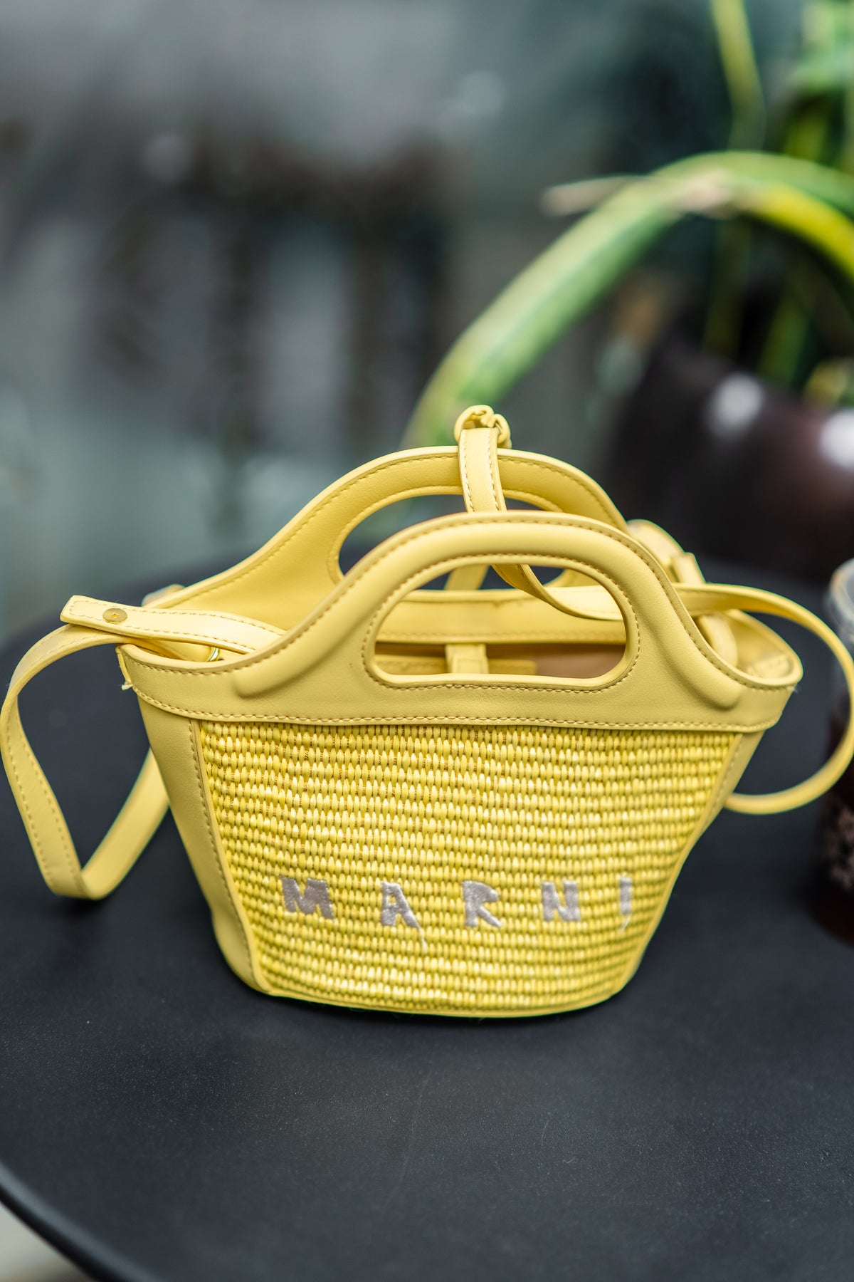 Marais Mini Woven Tote